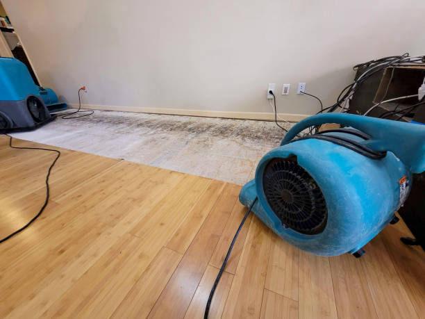 Professional Water Damage Repair technician working in Helotes, TX